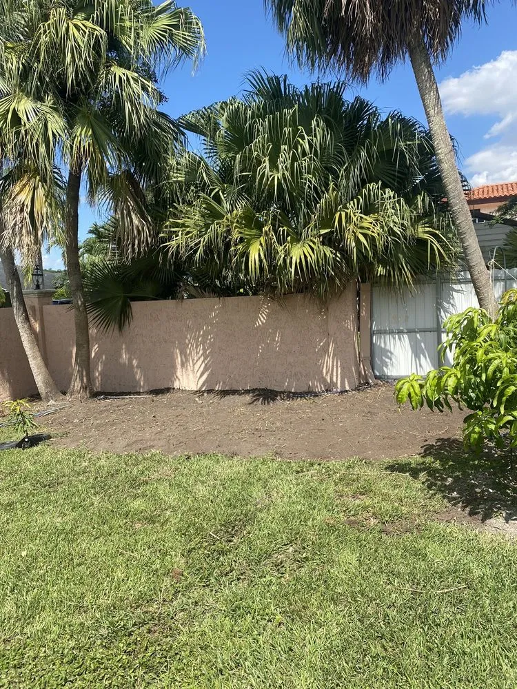 Local residential landscaping for year-round maintenance in Miami, FL by Bayamito & Sons Tree Trimming & Stump Removal