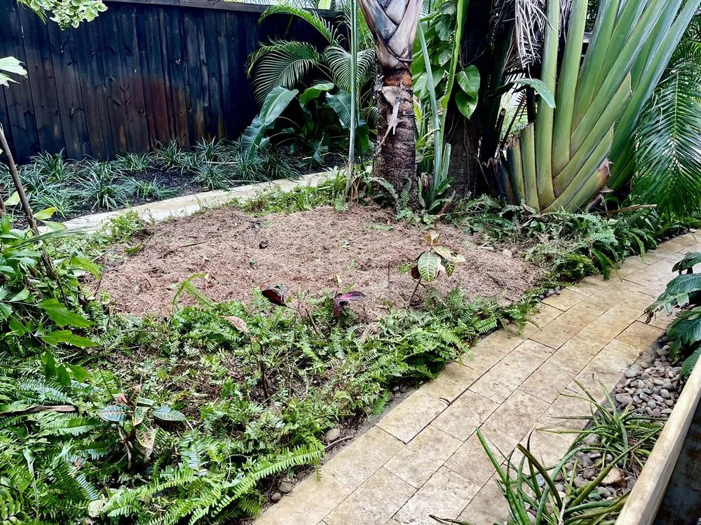 Professional yard cleanup service in Miami, FL - Bayamito & Sons Tree Trimming & Stump Removal