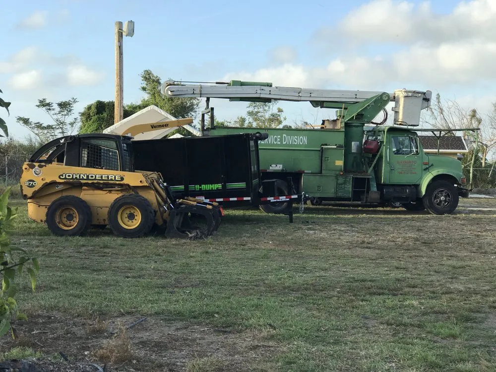 Professional landscape design experts serving Miami, FL - Bayamito & Sons Tree Trimming & Stump Removal