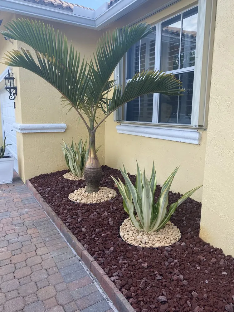 Custom landscape design in Miami, FL by Bayamito & Sons Tree Trimming & Stump Removal
