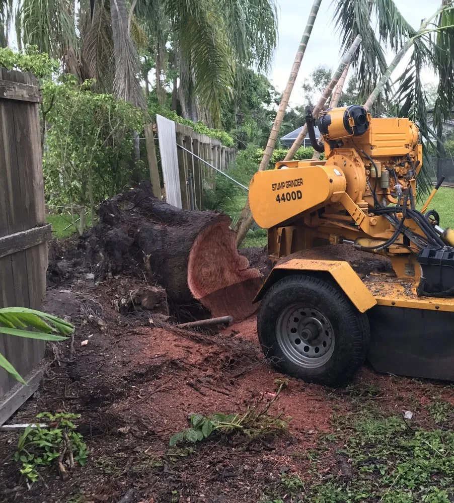 Local lawn care service near you across Miami, FL - Bayamito & Sons Tree Trimming & Stump Removal
