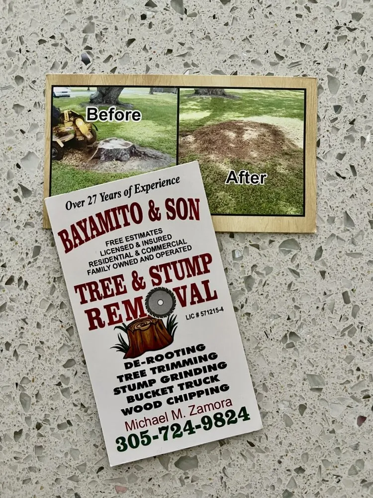 Professional landscape installation for homes across Miami, FL - Bayamito & Sons Tree Trimming & Stump Removal