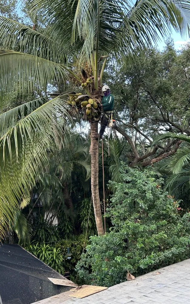 Expert outdoor landscaping for residential properties across Miami, FL - Bayamito & Sons Tree Trimming & Stump Removal