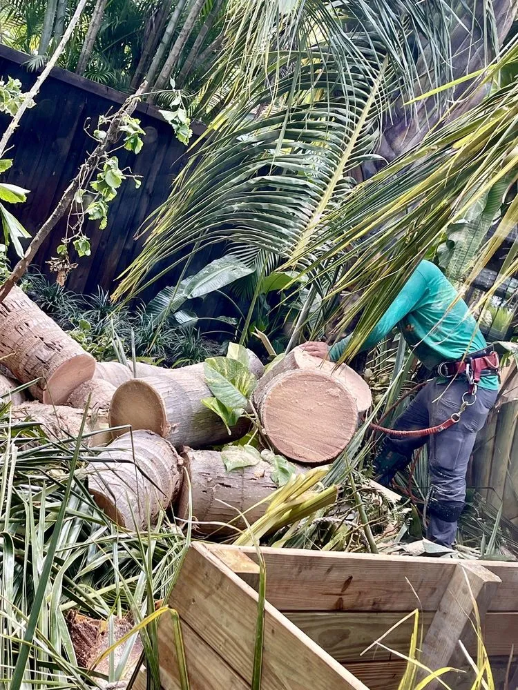 Local landscape installation for homes across Miami, FL - Bayamito & Sons Tree Trimming & Stump Removal