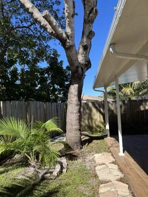 Bayamito & Sons Tree Trimming & Stump Removal Logo