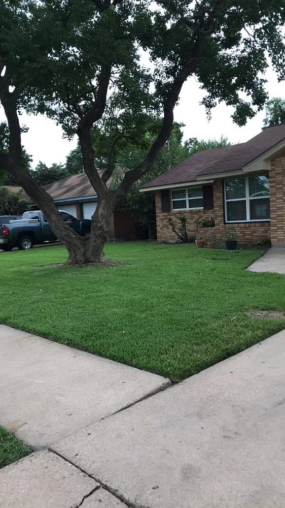 Affordable landscaping services in Houston, TX by Bayardo Landscaping Service