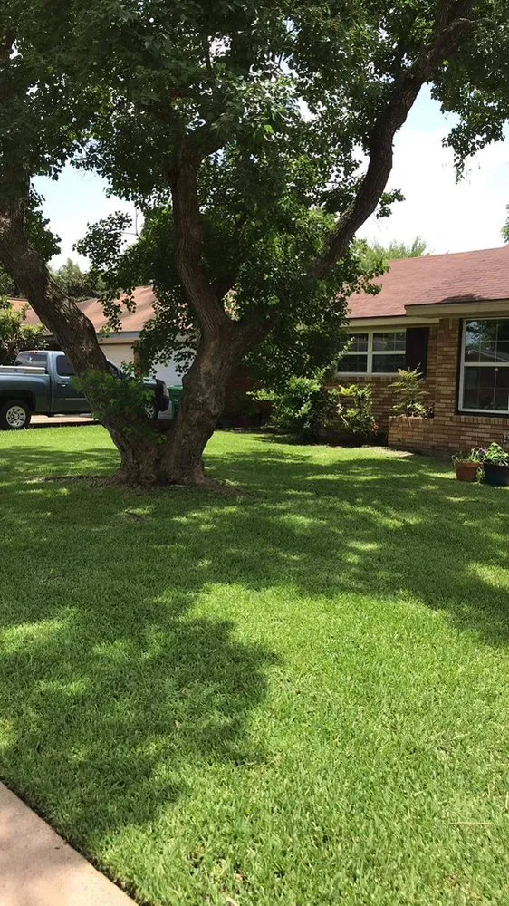 Top-rated yard cleanup service for year-round maintenance in Houston, TX by Bayardo Landscaping Service