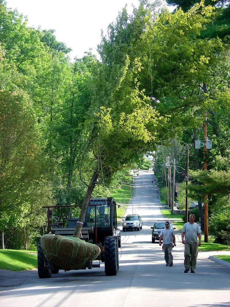 Reliable residential landscaping for homes in Hampton, NH by Bayberry & Co