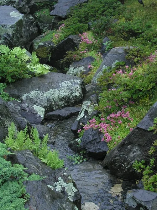 Professional residential landscaping for outdoor upgrades across Hampton, NH - Bayberry & Co