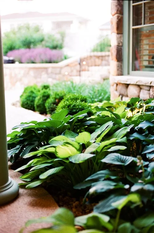 Affordable landscape design with custom design across Hampton, NH - Bayberry & Co