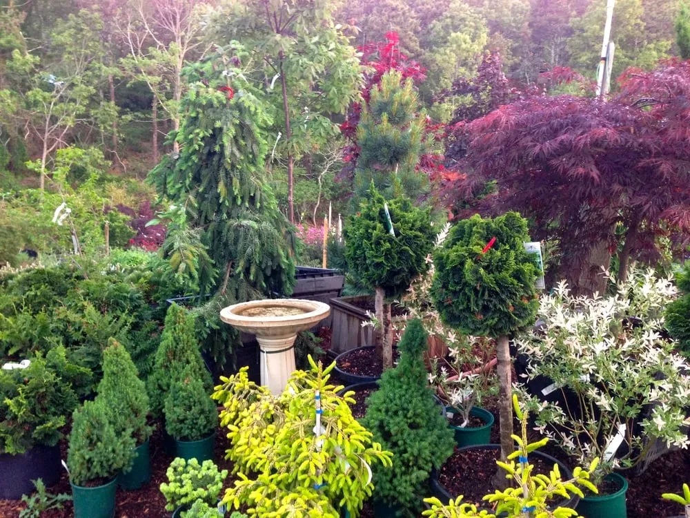 Expert lawn care service experts serving Truro, MA - Bayberry Gardens