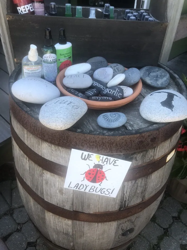 Trusted landscaping services for beautiful yards in Truro, MA by Bayberry Gardens