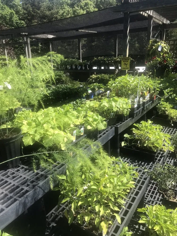 Local garden landscaping in Truro, MA by Bayberry Gardens