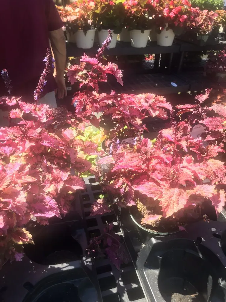 Reliable residential landscaping experts serving Truro, MA - Bayberry Gardens