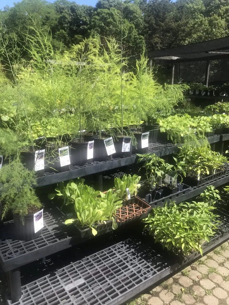 Top-rated landscape installation in Truro, MA by Bayberry Gardens