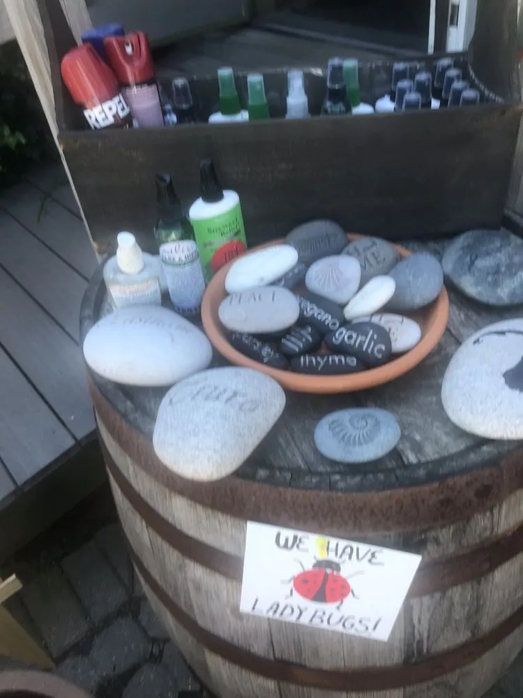 Reliable lawn care service for homes in Truro, MA by Bayberry Gardens