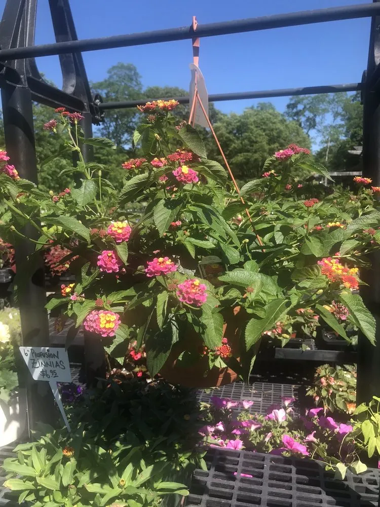 Expert yard maintenance experts serving Truro, MA - Bayberry Gardens