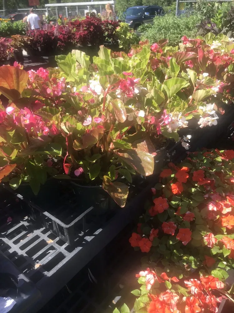 Top-rated landscape installation near you in Truro, MA by Bayberry Gardens