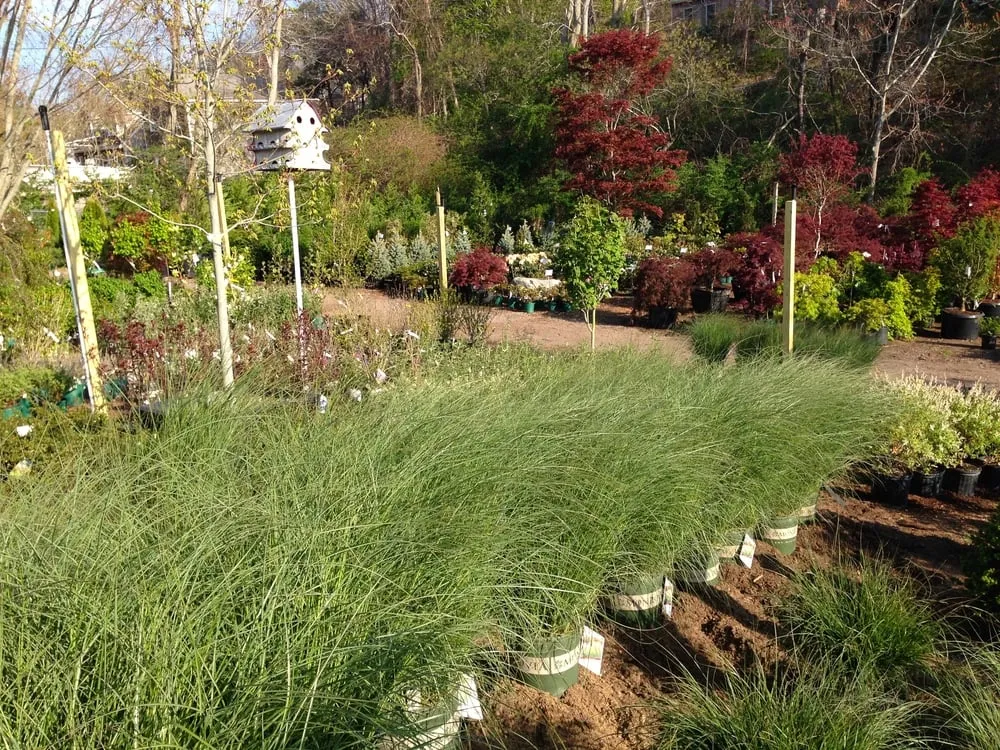 Top-rated yard cleanup service with custom design in Truro, MA by Bayberry Gardens