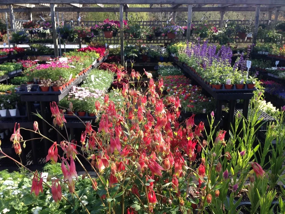 Reliable yard cleanup service for residential properties across Truro, MA - Bayberry Gardens