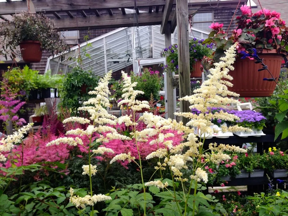 Local lawn care service for year-round maintenance in Truro, MA by Bayberry Gardens