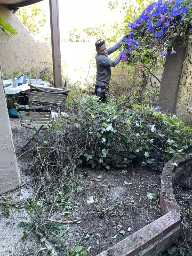 Top-rated landscape installation in East Palo Alto, CA by Bayfront Landscape
