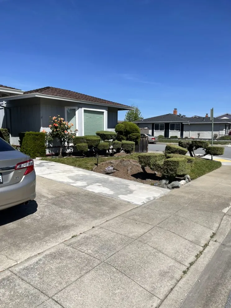 Expert landscape installation experts serving East Palo Alto, CA - Bayfront Landscape