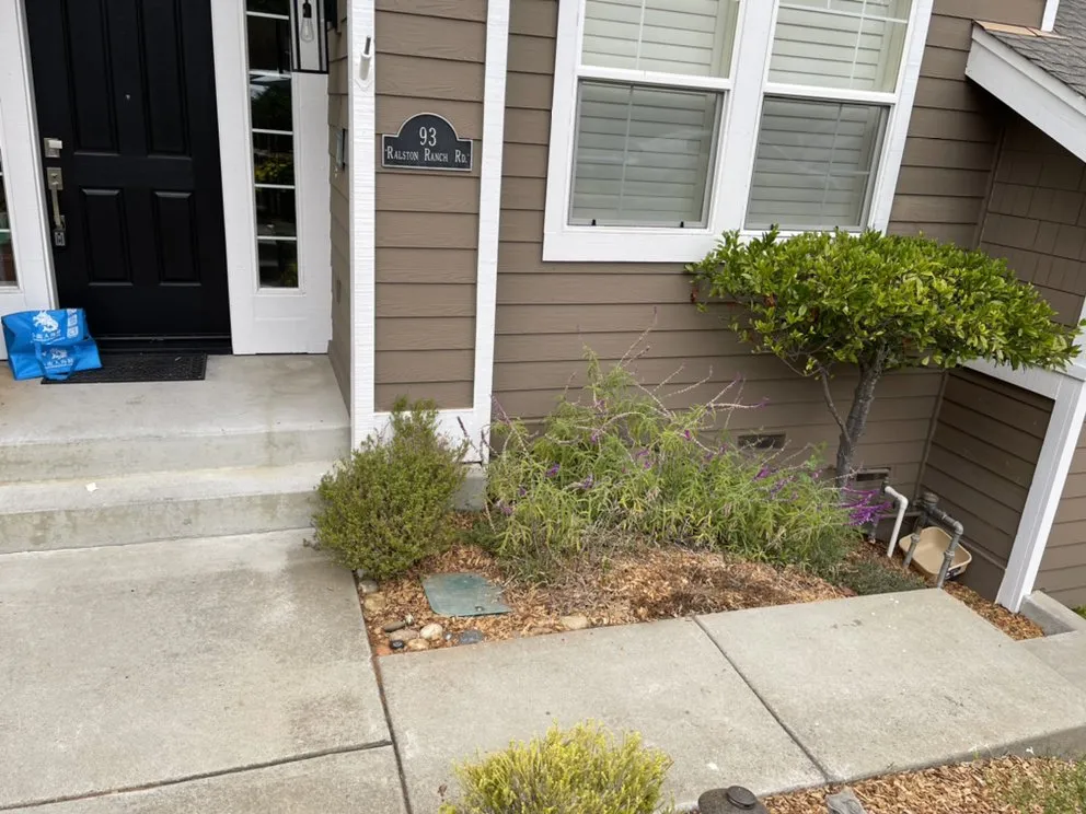 Custom lawn care service for year-round maintenance across East Palo Alto, CA - Bayfront Landscape
