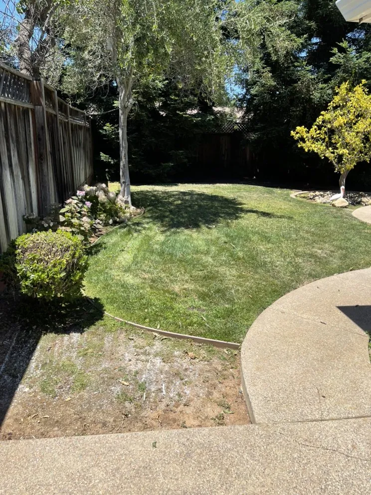 Expert yard maintenance for outdoor upgrades in East Palo Alto, CA by Bayfront Landscape