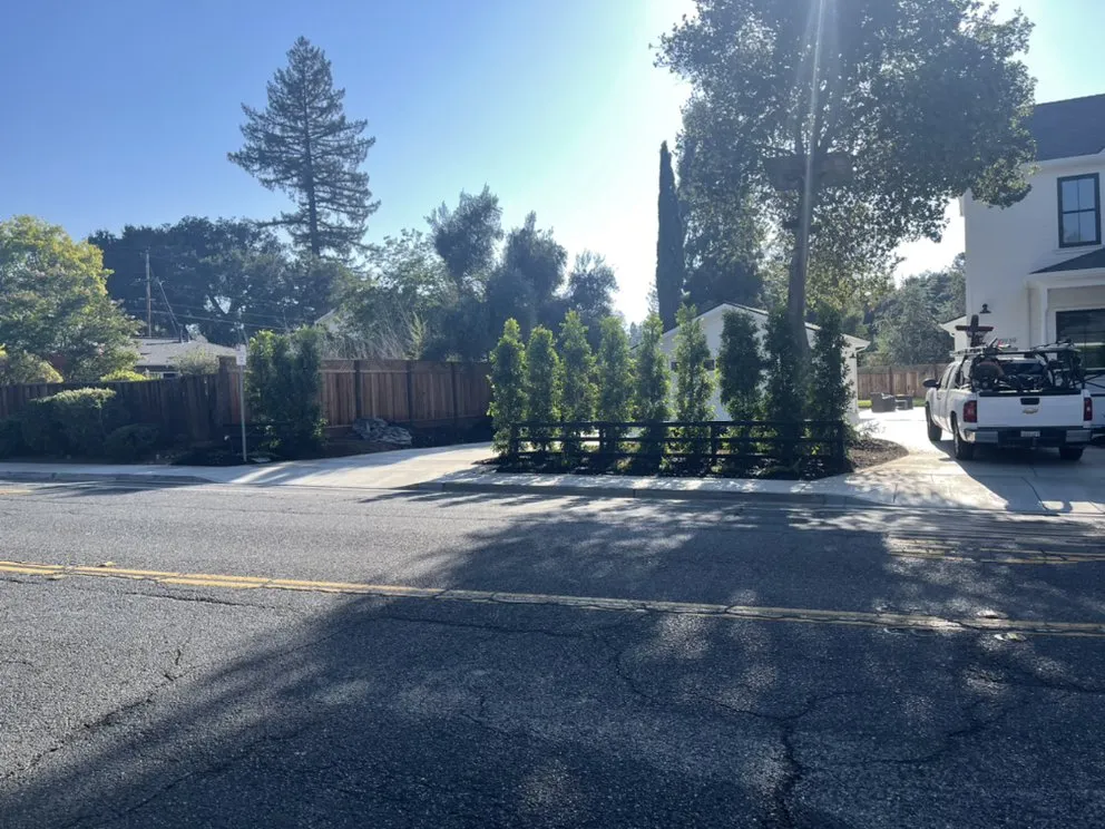 Reliable residential landscaping experts serving East Palo Alto, CA - Bayfront Landscape