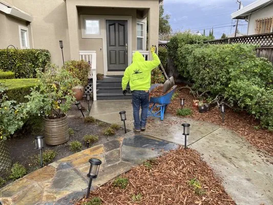 Bayfront  Landscape Logo