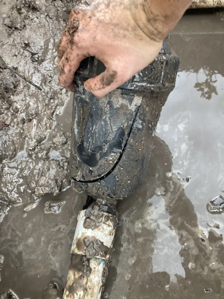 Affordable landscaping services in Bradenton, FL by Bayko Irrigation