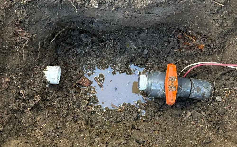 Trusted yard maintenance in Santa Clara, CA - Baylands Landscape Management