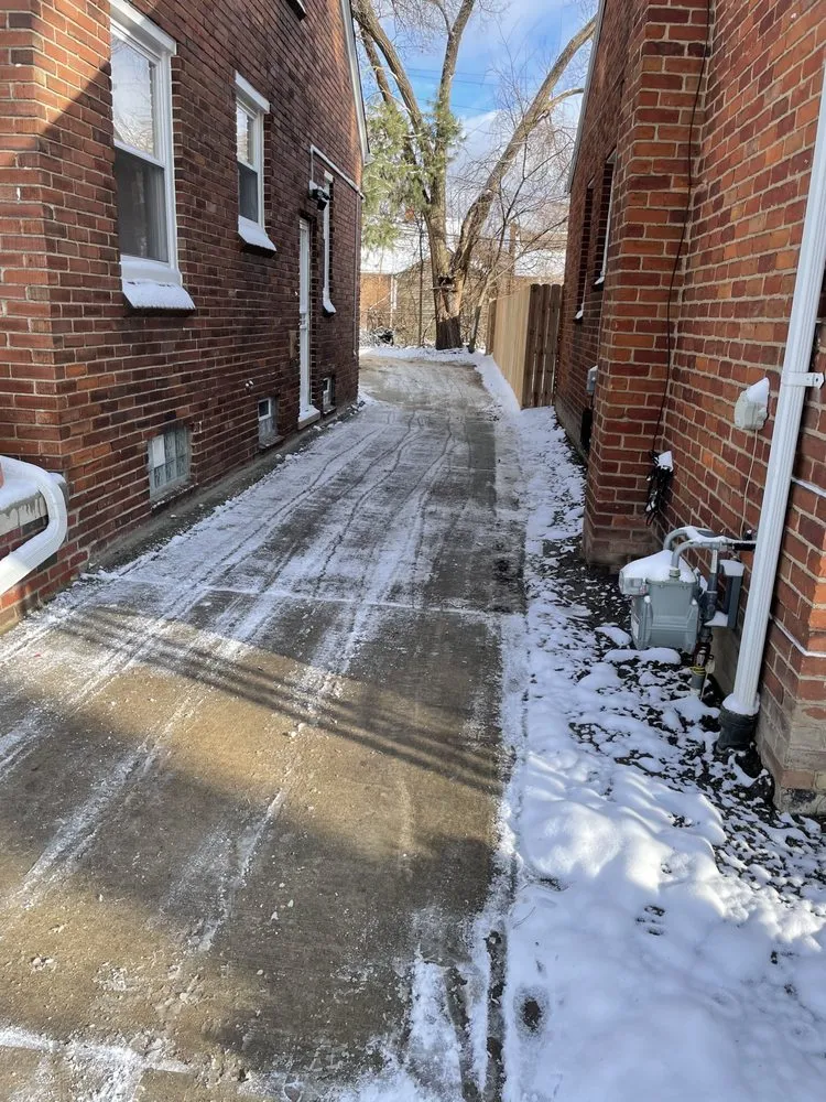 Trusted yard cleanup service for year-round maintenance across Roseville, MI - Baylyn Development