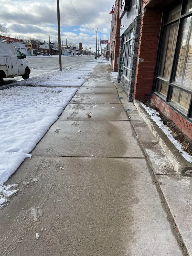 Expert yard cleanup service in Roseville, MI by Baylyn Development