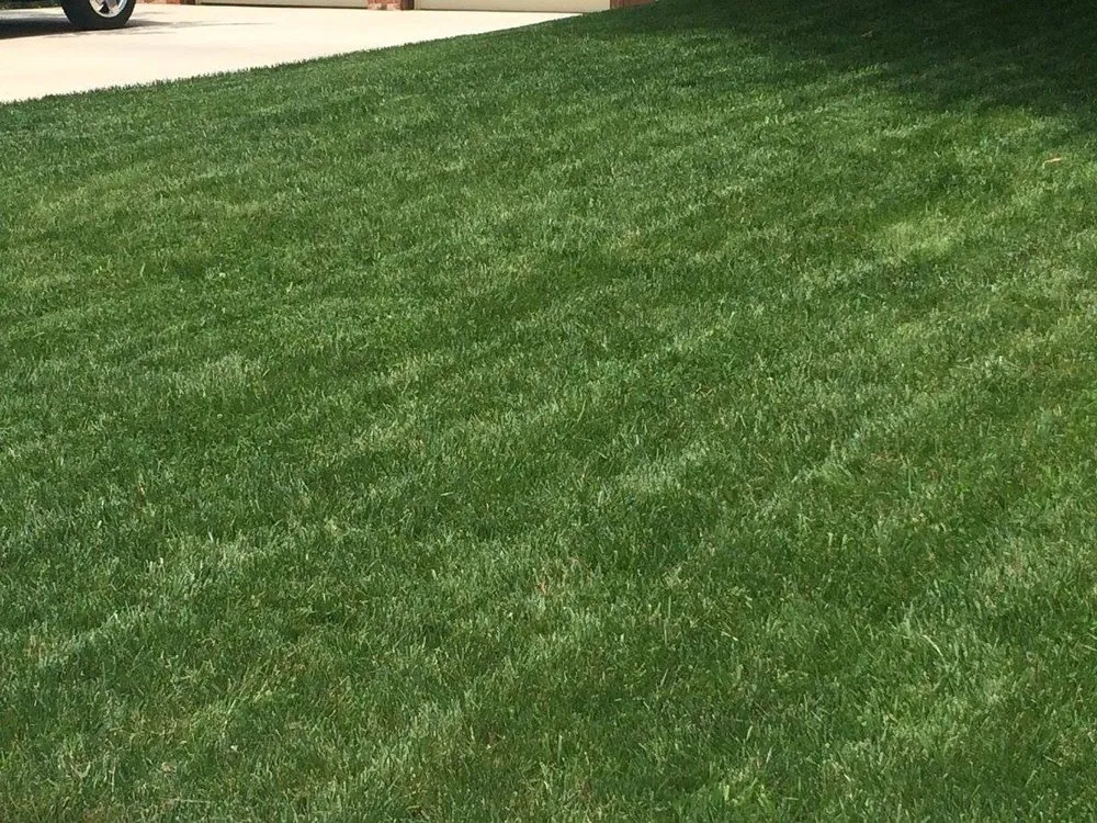 Professional yard cleanup service experts serving Leavenworth, KS - Baynham Lawn Care Services