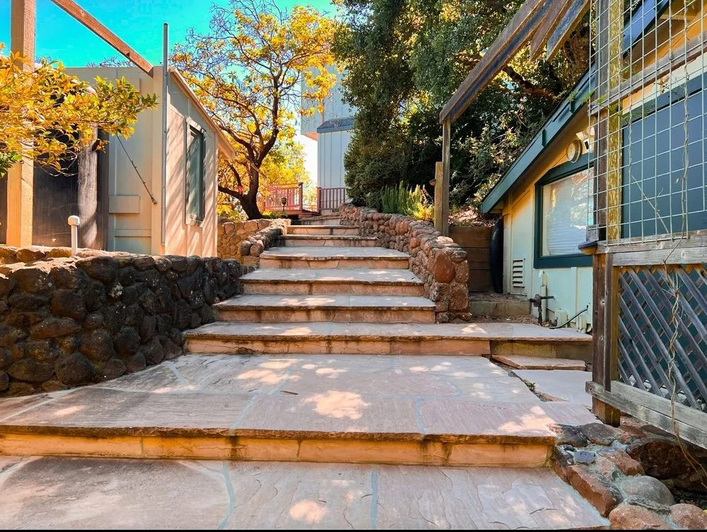 Professional yard cleanup service in Petaluma, CA - Bayo Landscaping