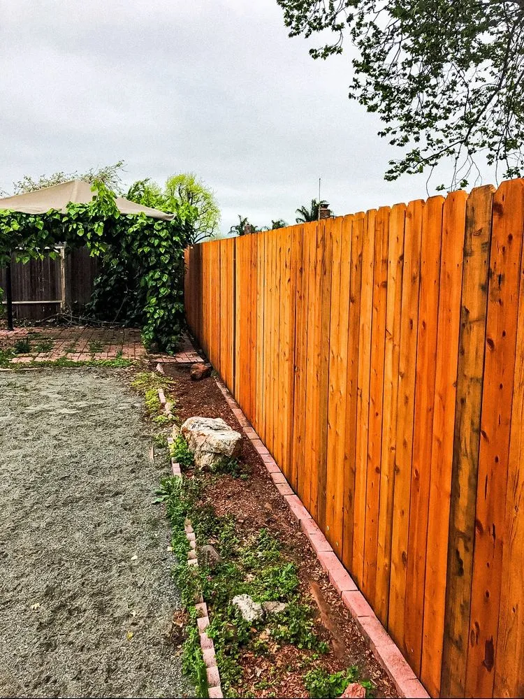 Professional landscaping services for beautiful yards across Petaluma, CA - Bayo Landscaping