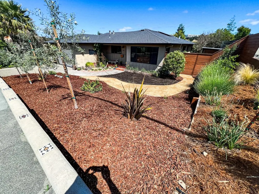 Expert garden landscaping in Petaluma, CA by Bayo Landscaping