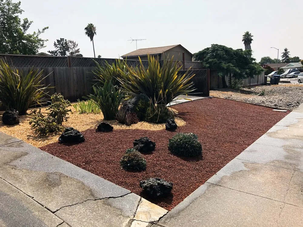 Local landscaping services in Petaluma, CA by Bayo Landscaping