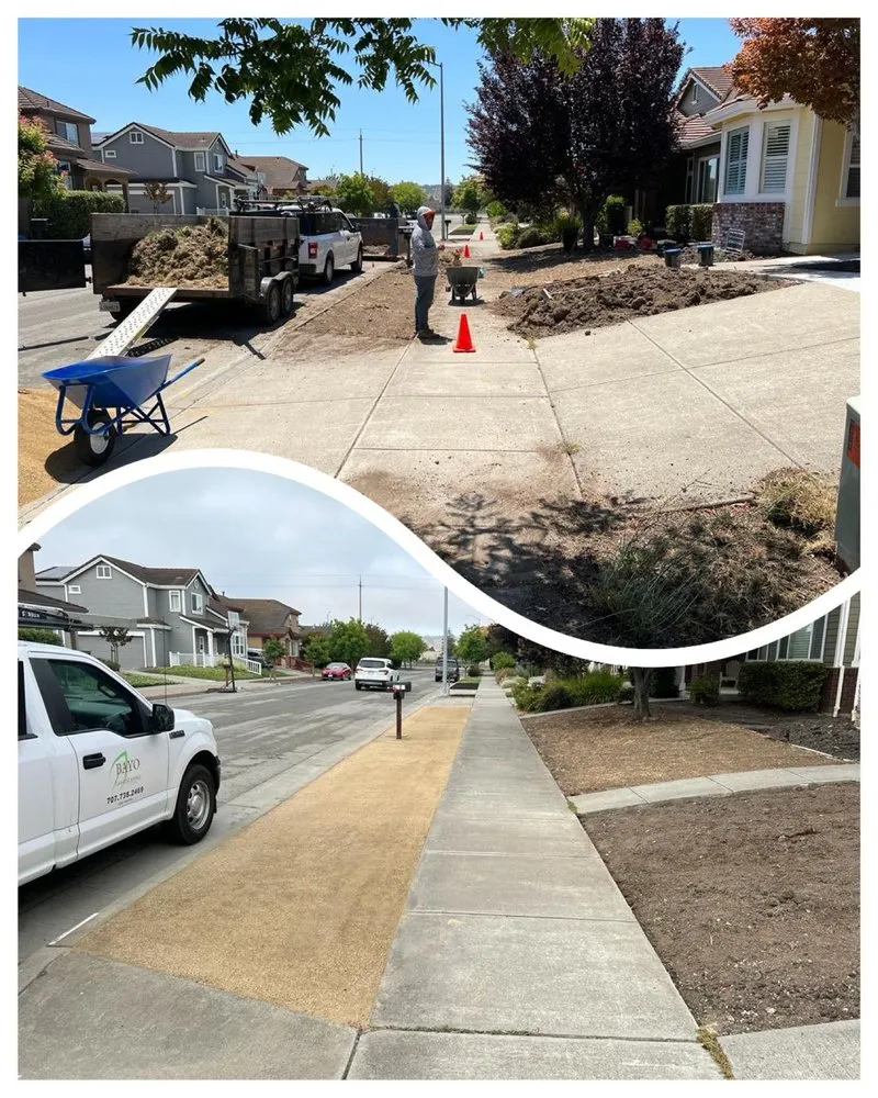 Expert garden landscaping for homes across Petaluma, CA - Bayo Landscaping
