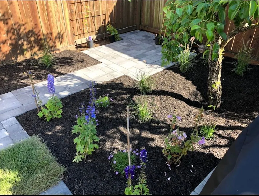 Local lawn care service for outdoor upgrades in Petaluma, CA by Bayo Landscaping