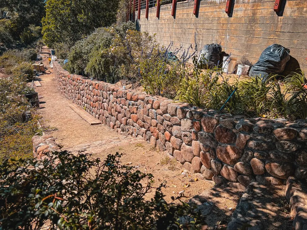 Top-rated residential landscaping for residential properties across Petaluma, CA - Bayo Landscaping