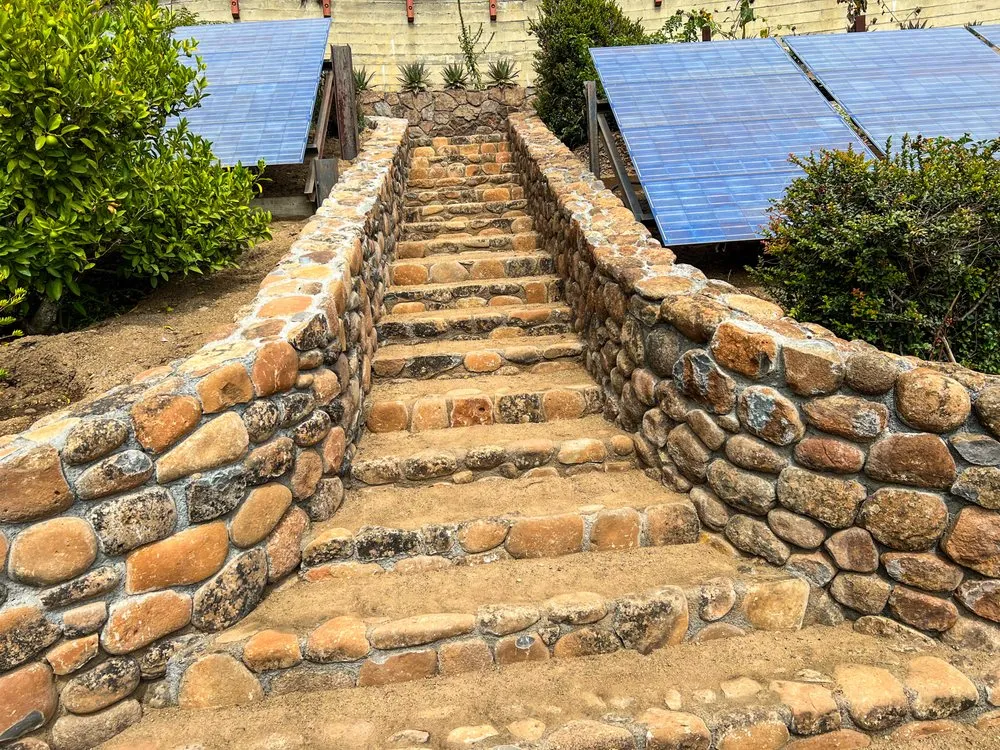 Expert lawn care service for homes across Petaluma, CA - Bayo Landscaping