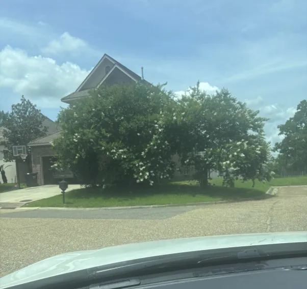 Local landscape design in Gonzales, LA - Bayoo Cleaners