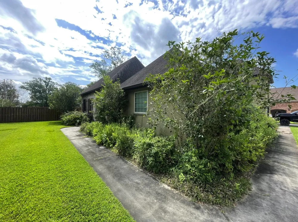 Top-rated lawn care service in Gonzales, LA - Bayoo Cleaners