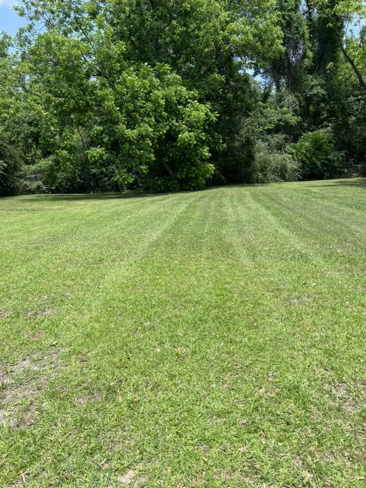 Top-rated lawn care service experts serving Bay St. Louis, MS - Bayou Blades Lawncare