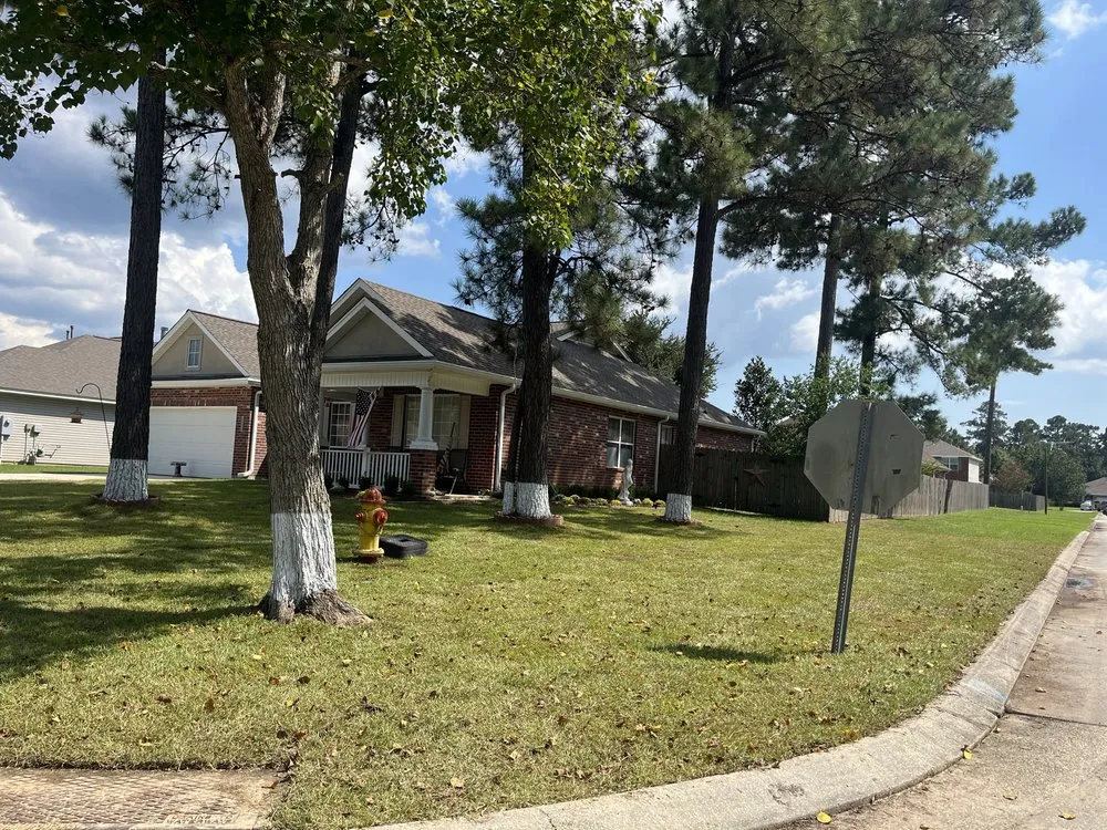 Professional yard cleanup service with custom design in Covington, LA by Bayou Bloom Landscaping