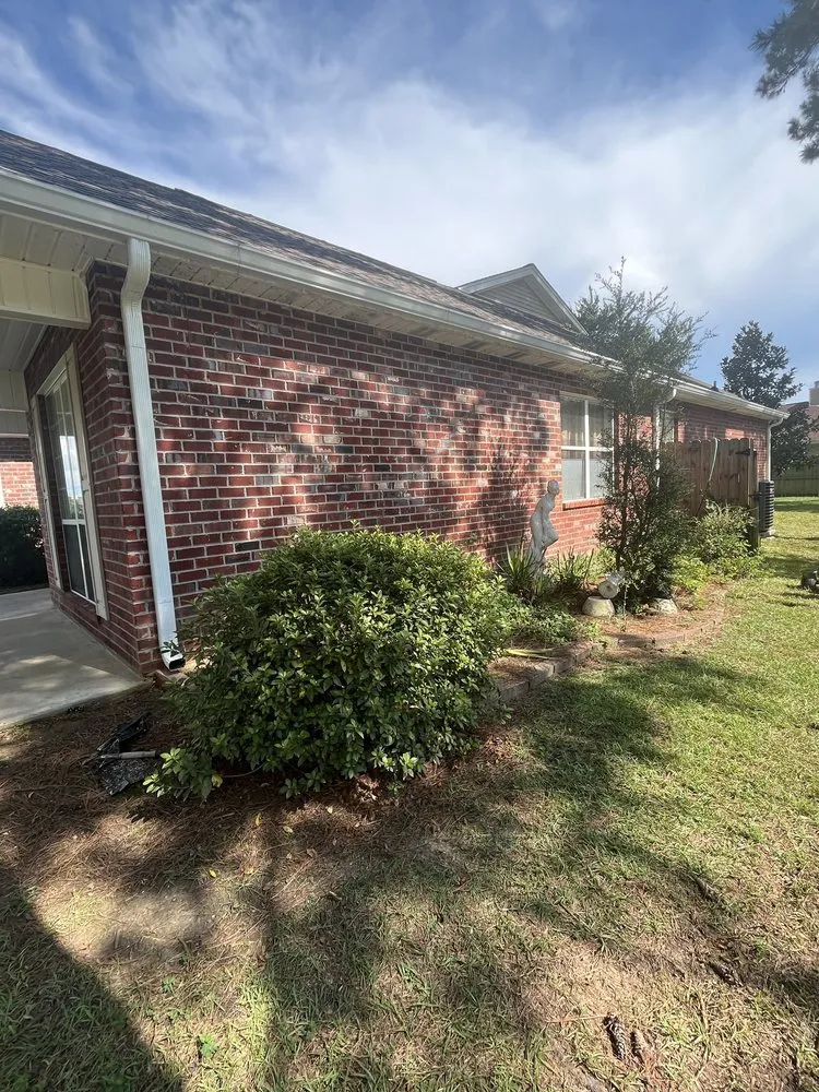 Affordable yard cleanup service in Covington, LA by Bayou Bloom Landscaping