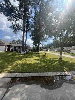 Bayou Bloom Landscaping